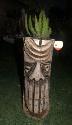TIKI PLANT