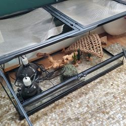 Terrarium Setup