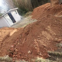 Fee Dirt/ Tierra Gratis 
