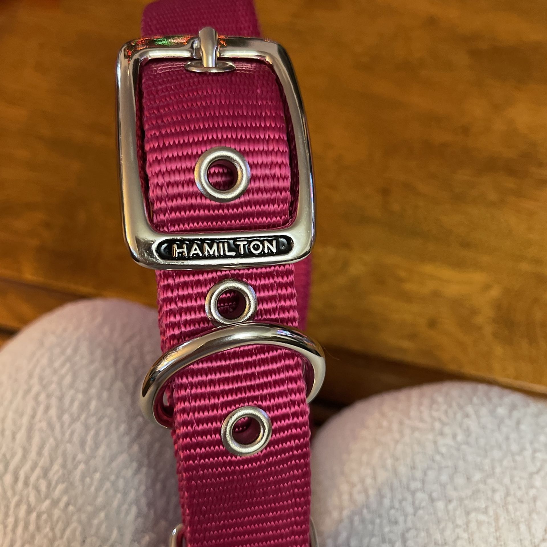 Hamilton Dog Collar New