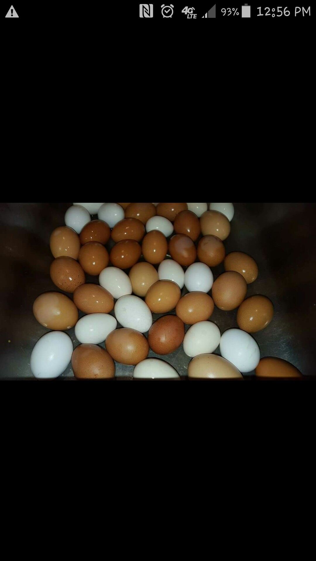 Farm fresh eggs🐔