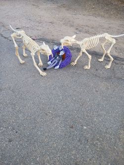 Halloween Decorations
