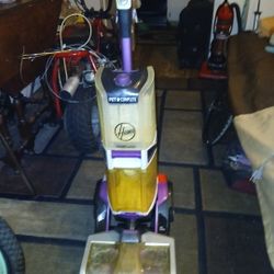 Hoover Lursh Pet Complete Spot Chaser Pretteat Wand  Shampooer 