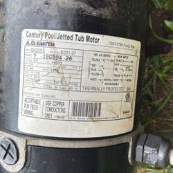 Pool Motor 