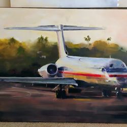 AA MD80 / Super 80 Painting