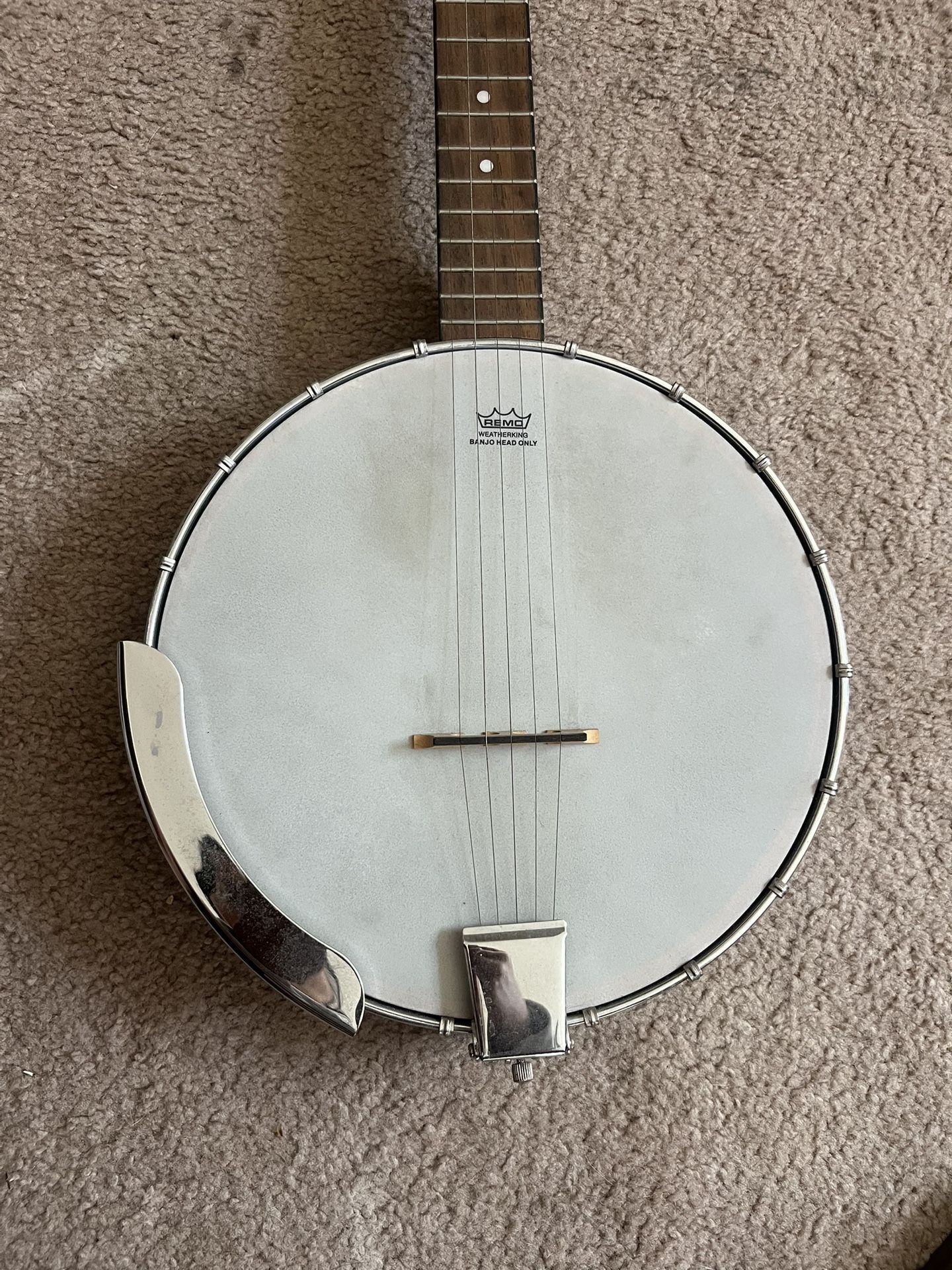 Epiphone 5 String Banjo