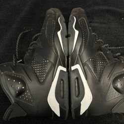 Jordan Retro Black Cat 6s