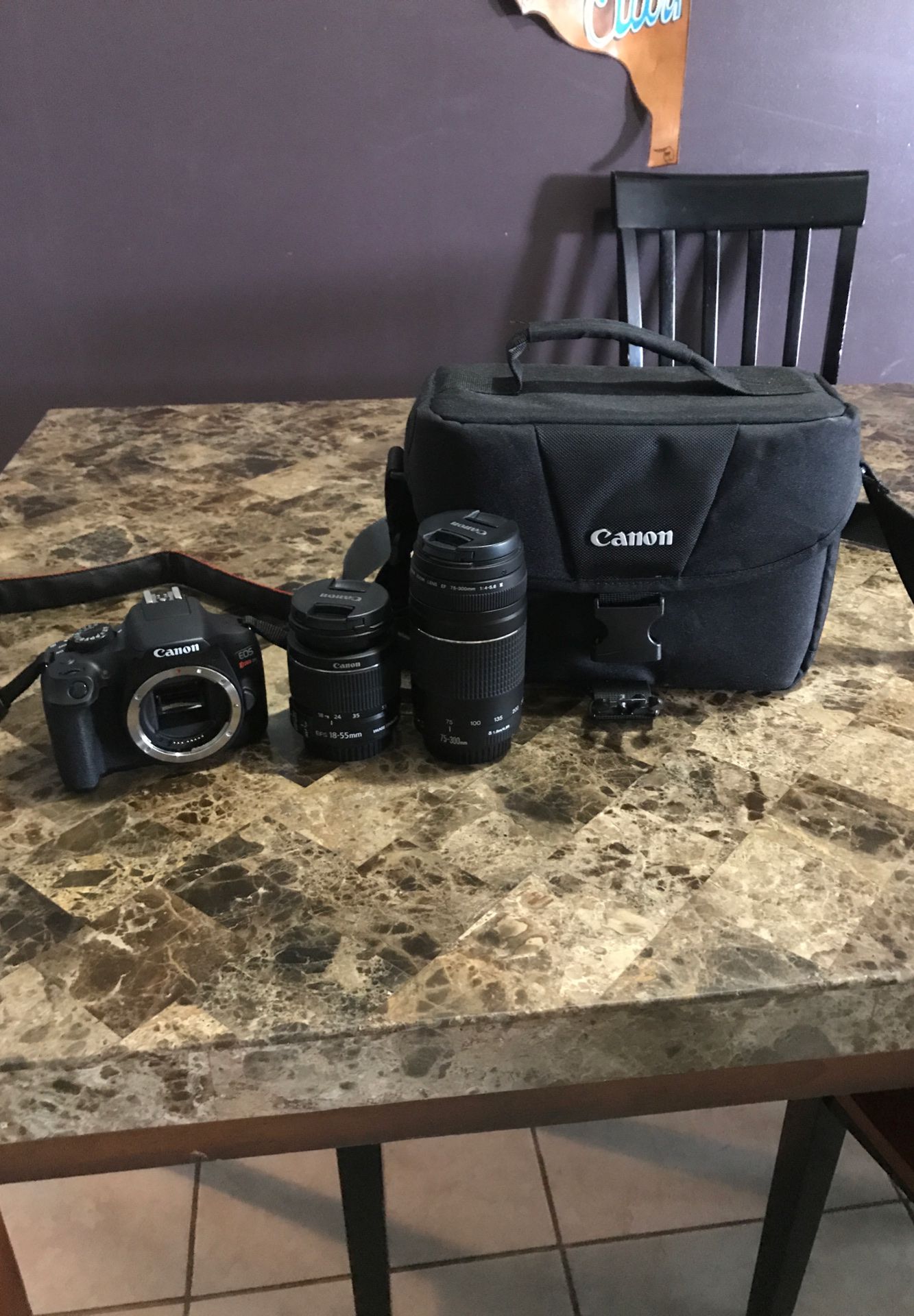 Canon Rebel T6, lenses, and carrying case