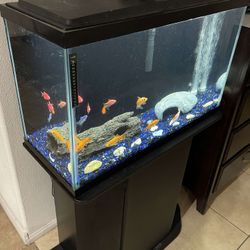 Fish Tank with Stand 