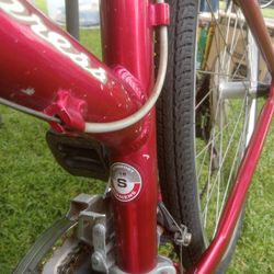 Giant Cypress  Mountain Bike