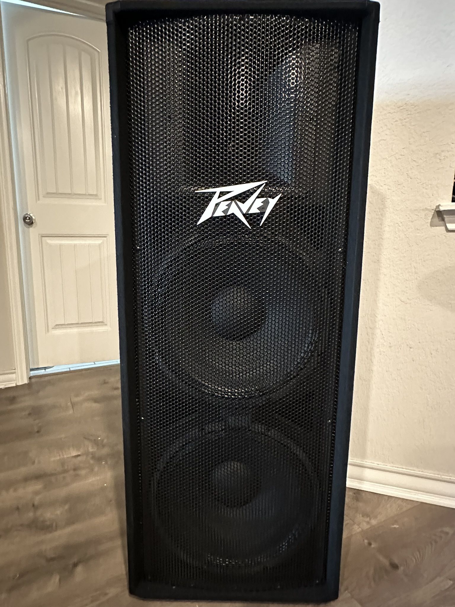 Peavy 215 Speaker With Gemini Powered Amp