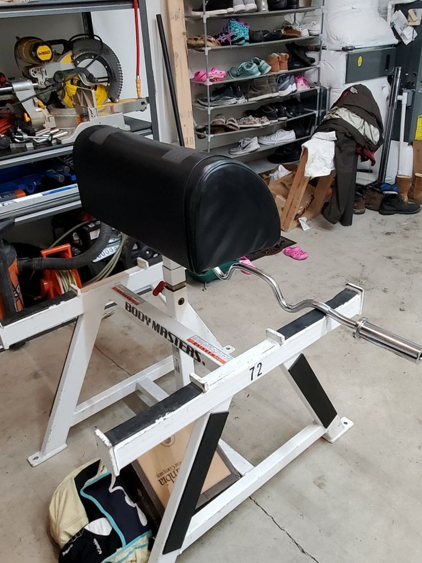 Preacher Curl Bench