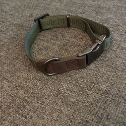 Used Green Dog Collar