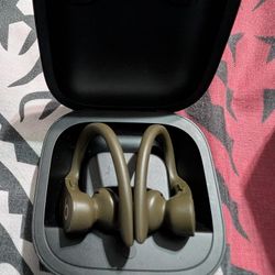 Apple Beats By Dre Powerbeats Pro Green