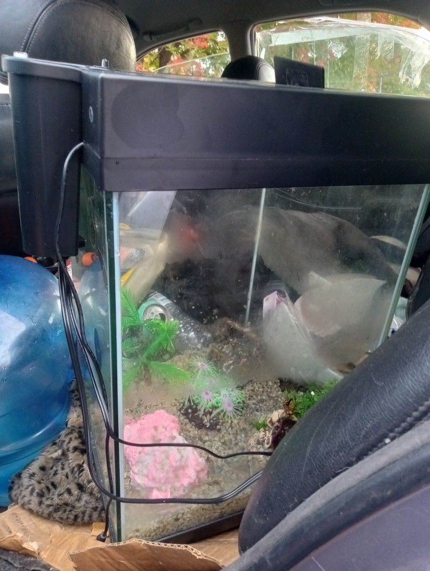 complete nice square fish tank 