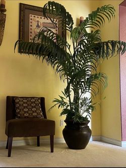 Artificial palm tree (fake)