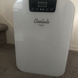 Cooluli 20 Liter Mini Fridge with Temperature Control - White Thermoelectric Cooler and Warmer for Bedroom, Office, Car, Dorm