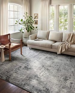 Loloi Charcoal Area Rug - New