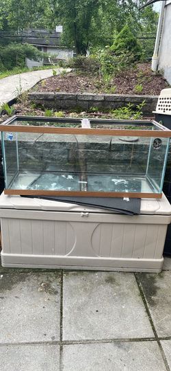 Larger fish tank