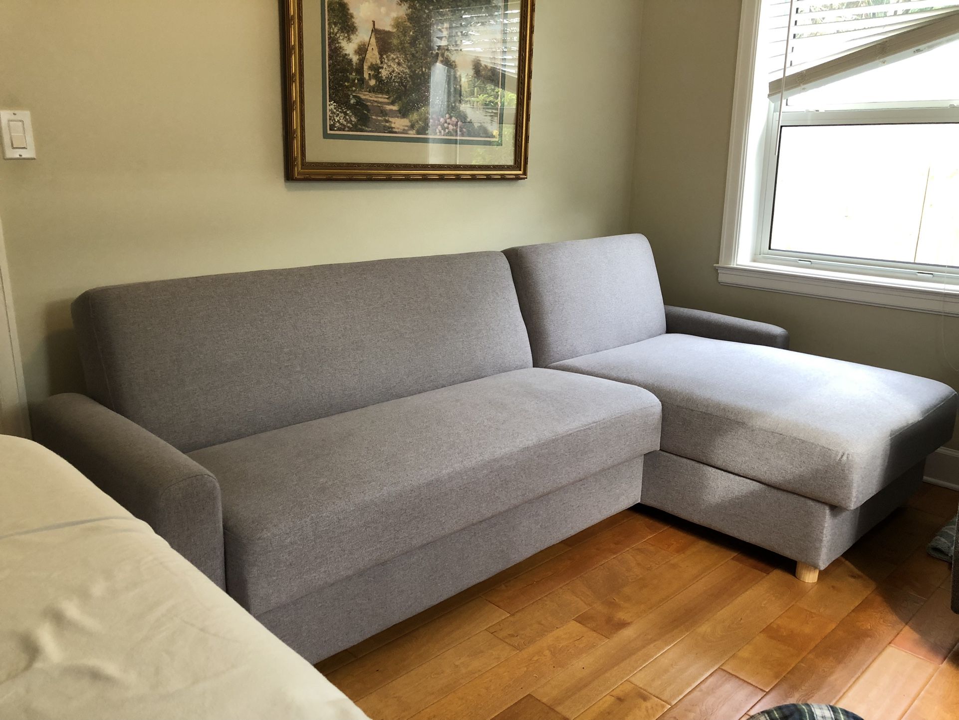 Sectional Sleeper with Storage