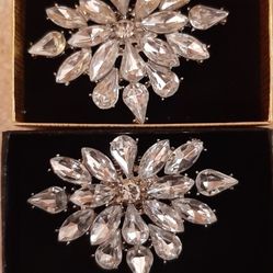 Decorative shoe clips