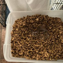 Purina Pro Plan Chicken And Rice