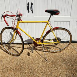 Restored 1975 Schwinn Varsity