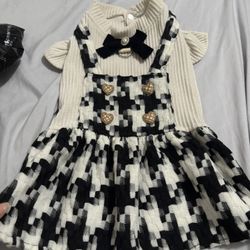 Dog Accessories and Clothes 