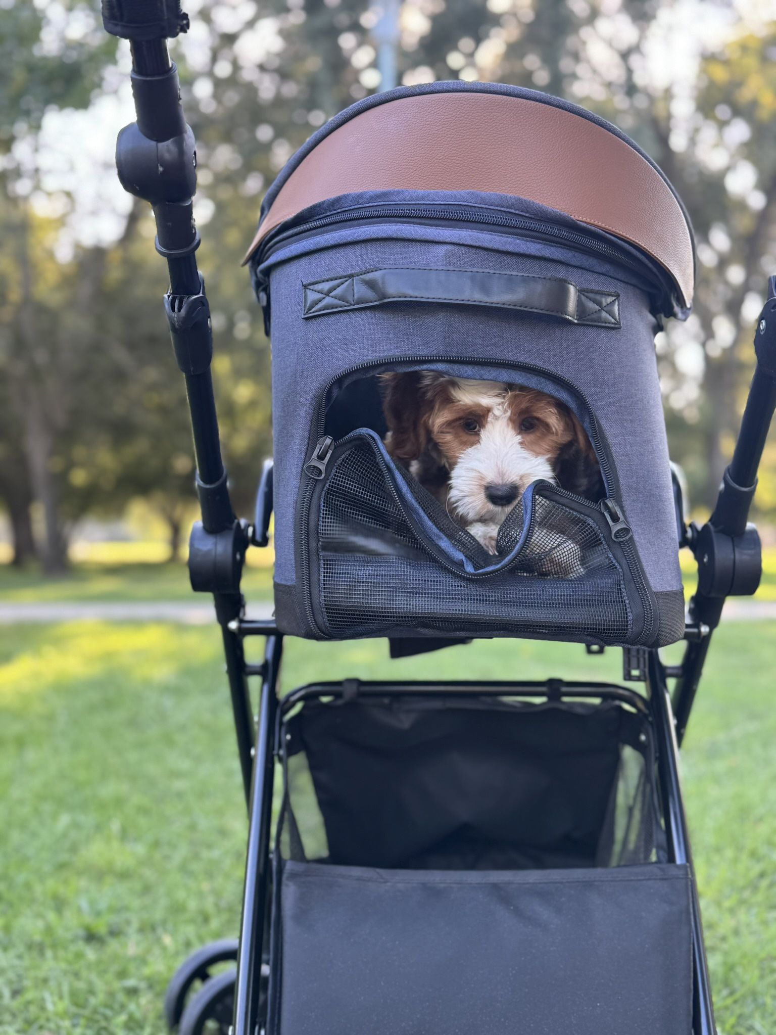 PawHut Dog / Puppy Stroller