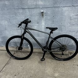 Giant Roam 2 Bicycle