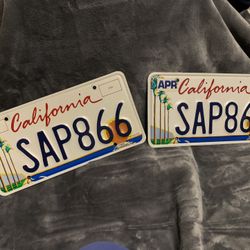 2000’s California Palm Tree Plates