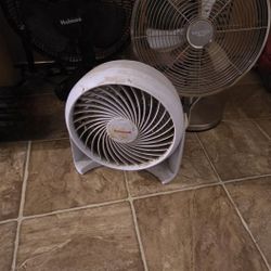3 Fans 