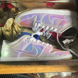 Nike SB dunk “holy grail” Low