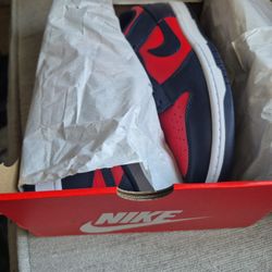 Nike DUNKS SZ 11 NEW