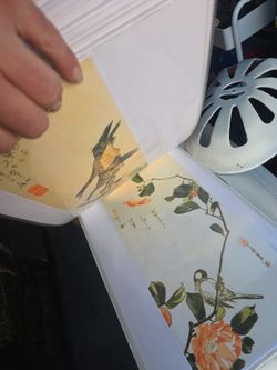 Asian Bird Art Prints – Elegant Home or Restaurant Decor