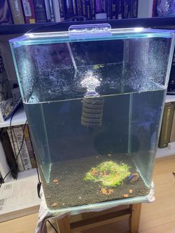 Marine land 5 Gallon Rimless Tank