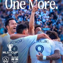 LA Galaxy v NY Red Bulls