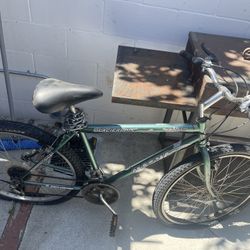 Manga Bike 