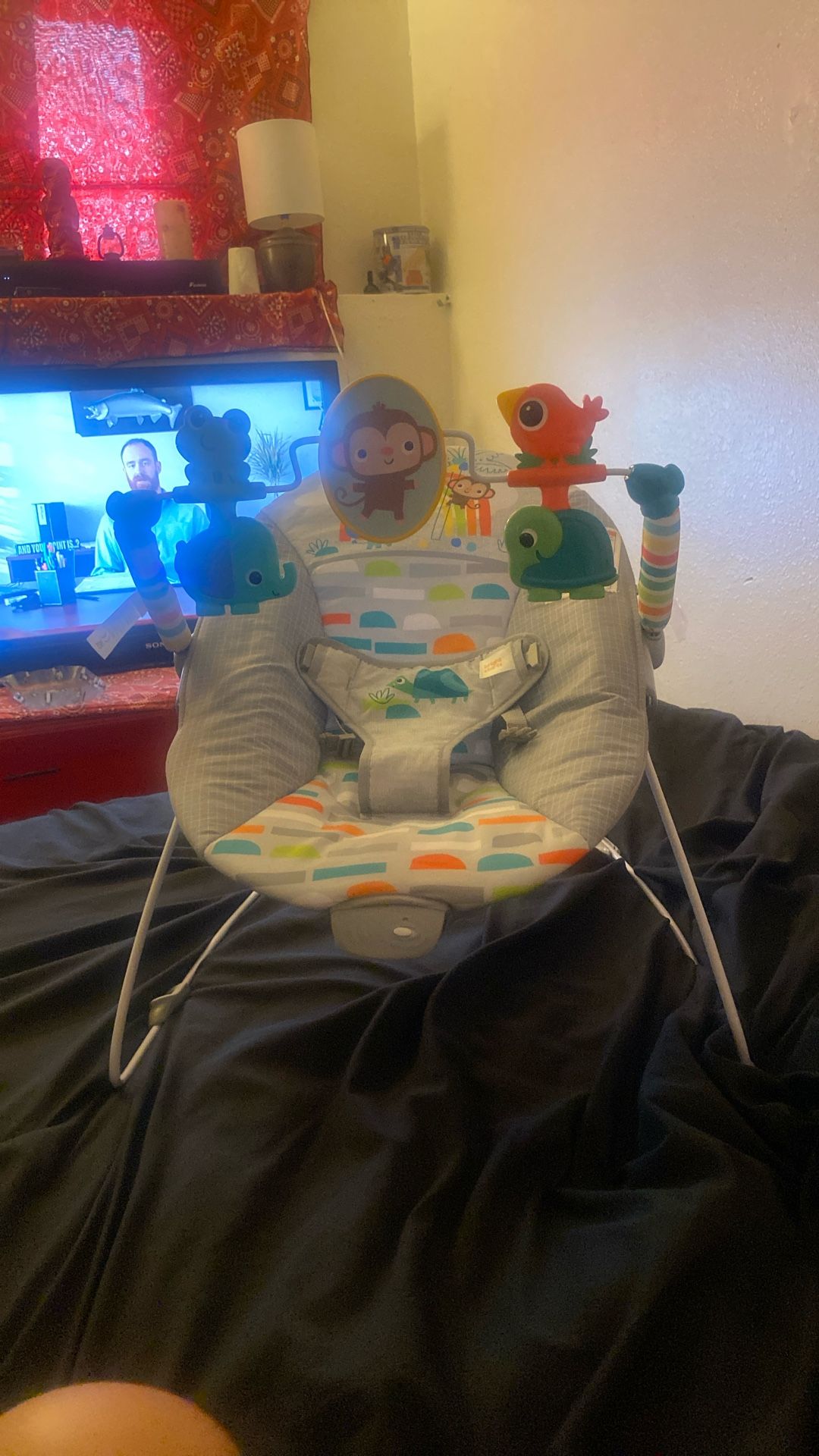Baby Bouncer
