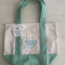 mint green mini tote bag