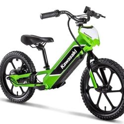 Kawasaki Elektrode