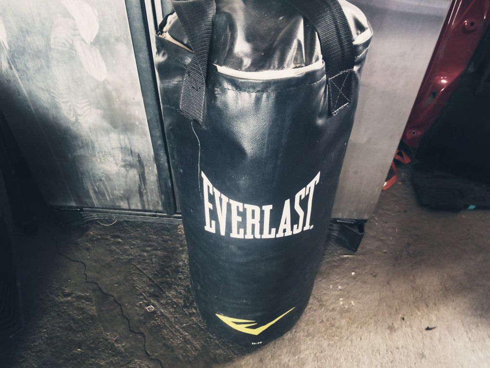EVERLAST Boxing bag!