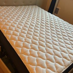Queen Size Serta Perfect Sleeper Mattress