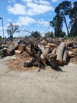 Free wood