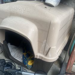 Dog House 