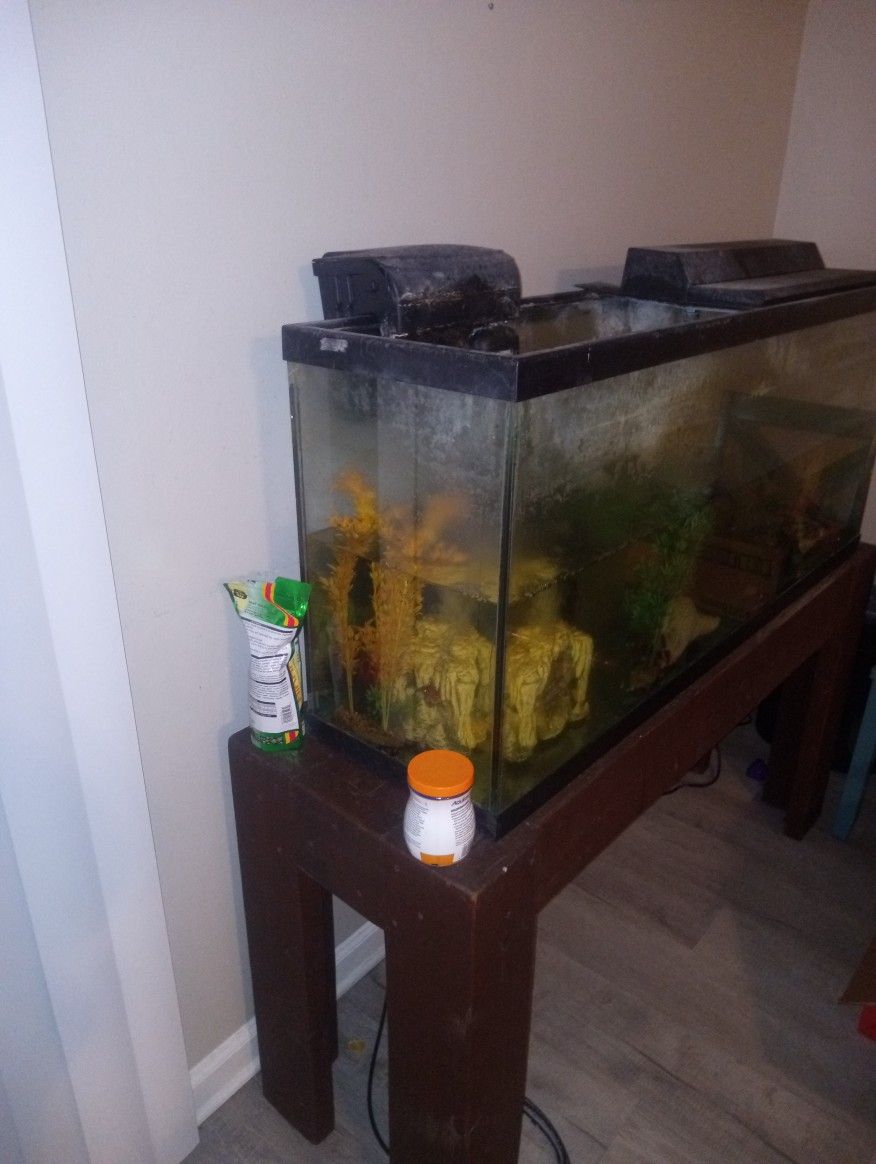 Fish Tank