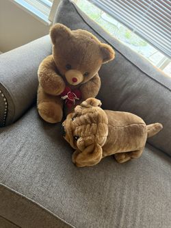 Soft Teddy And Dog