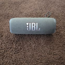 JBL Flip 6 Works Perfectly Fine And Holds A Charge!!!!