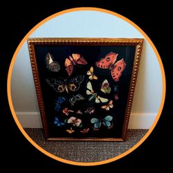 Moth Painting By Shapna Shah 