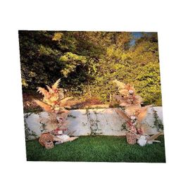 Custom Wedding Backdrops – Create Your Ideal Wedding Scene realize case